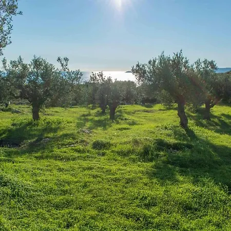 The Olive Grove 1 Διαμέρισμα *