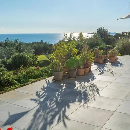 The Olive Grove 1 Apartment